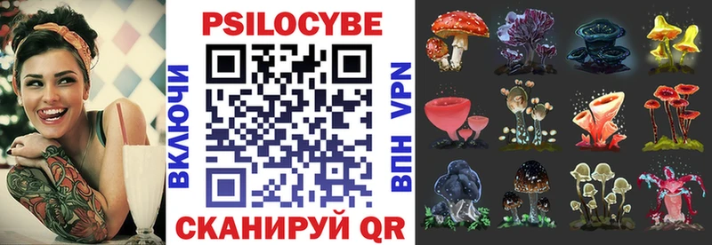 Псилоцибиновые грибы прущие грибы  Бор 