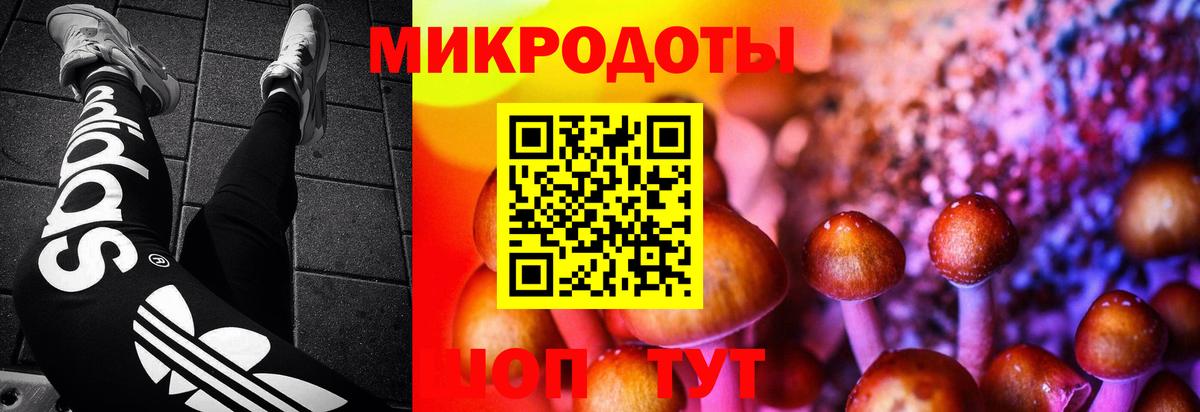 Бор  Галлюциногенные грибы MAGIC MUSHROOMS  Вход с VPN  Псилоцибиновые грибы Psilocybine cubensis 
