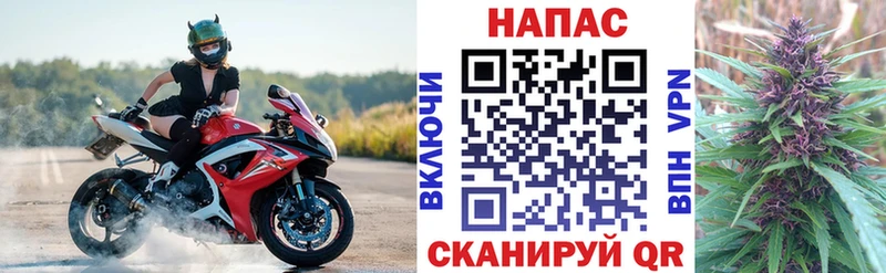 Конопля VHQ  сколько стоит  блэк спрут ССЫЛКА  Бор 